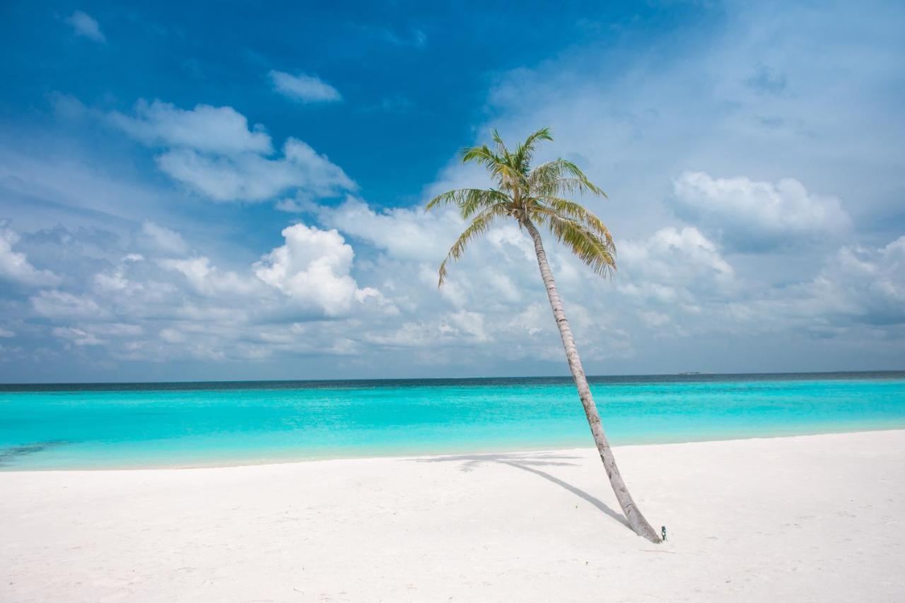 Brickwood Rasdhoo- Beach Front Eksteriør bilde